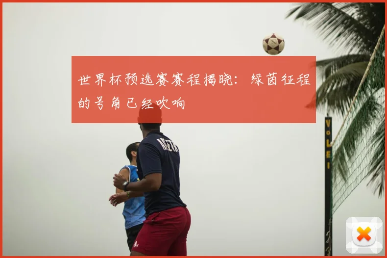 世界杯预选赛赛程揭晓：绿茵征程的号角已经吹响