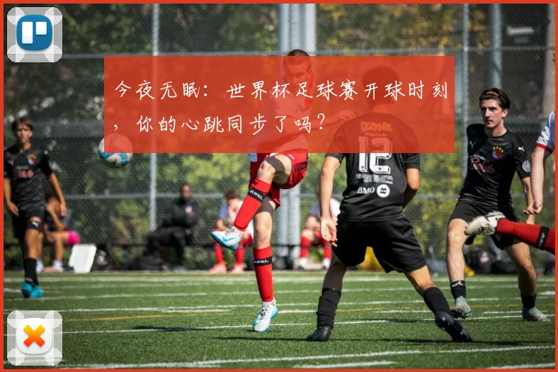 今夜无眠：世界杯足球赛开球时刻，你的心跳同步了吗？