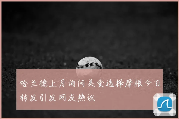 哈兰德上月询问美食选择摩根今日转发引发网友热议