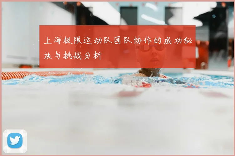 上海极限运动队团队协作的成功秘诀与挑战分析