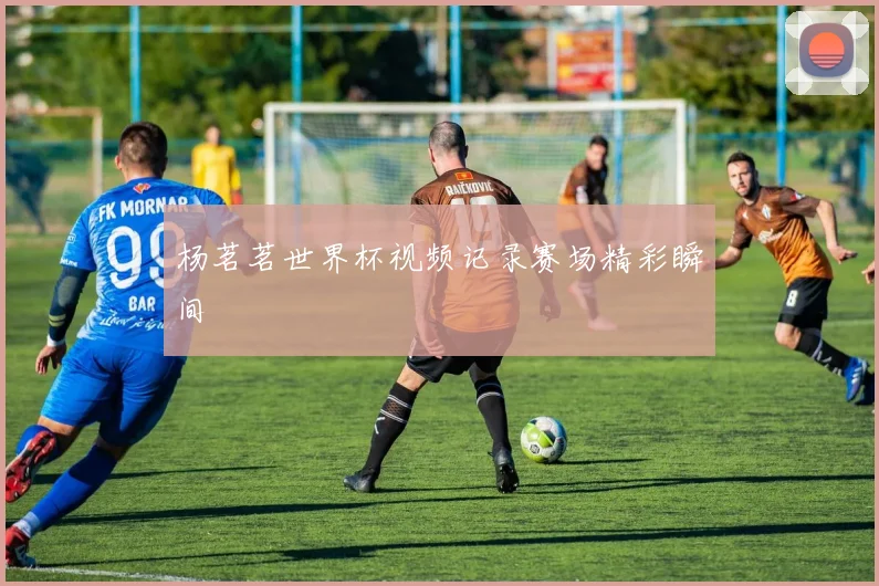 杨茗茗世界杯视频记录赛场精彩瞬间