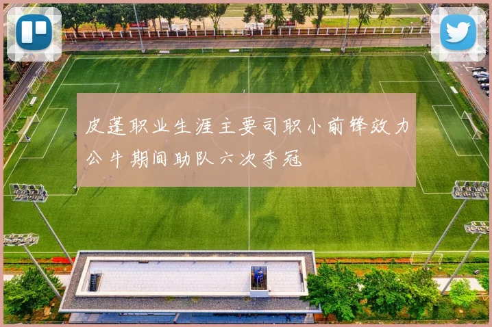 皮蓬职业生涯主要司职小前锋效力公牛期间助队六次夺冠