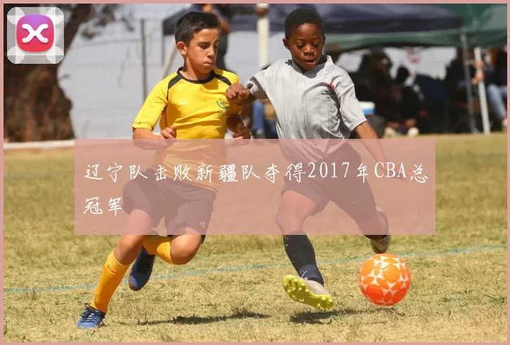 辽宁队击败新疆队夺得2017年CBA总冠军