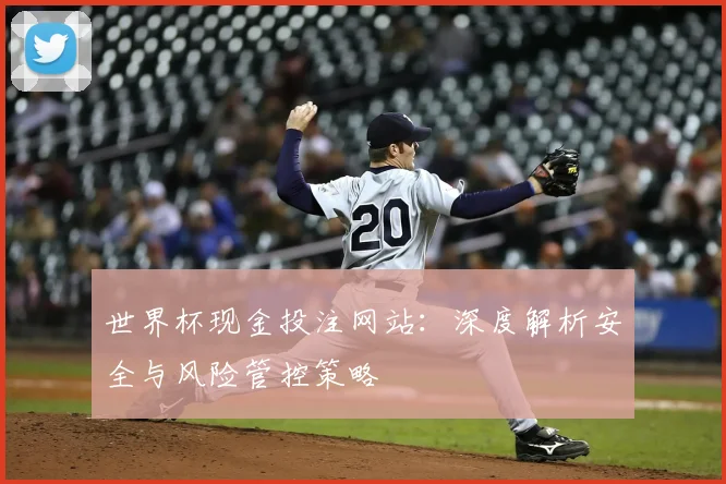 世界杯现金投注网站：深度解析安全与风险管控策略