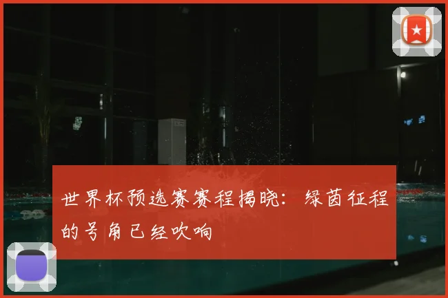 世界杯预选赛赛程揭晓:绿茵征程的号角已经吹响