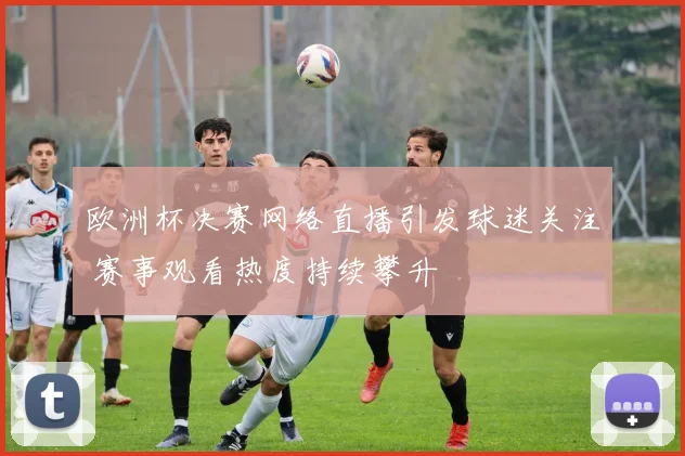 欧洲杯决赛网络直播引发球迷关注 赛事观看热度持续攀升