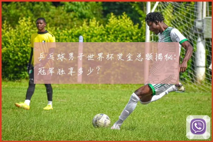 乒乓球男子世界杯奖金总额揭秘：冠军独享多少？