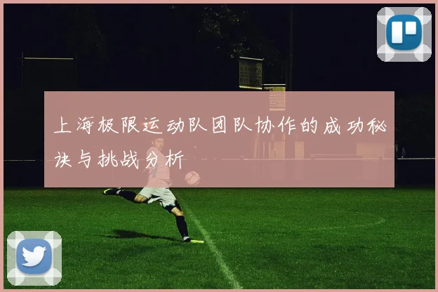 上海极限运动队团队协作的成功秘诀与挑战分析