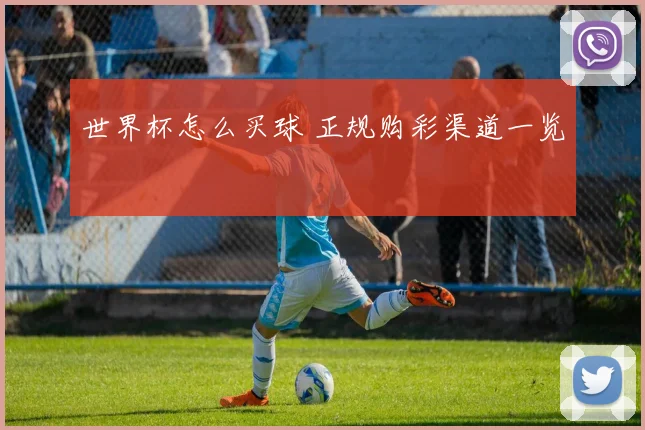世界杯怎么买球 正规购彩渠道一览